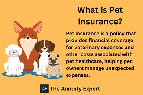 cheapest dual pet insurance.